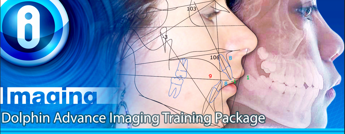 4Hrs DolphinImaging 2D Online Training